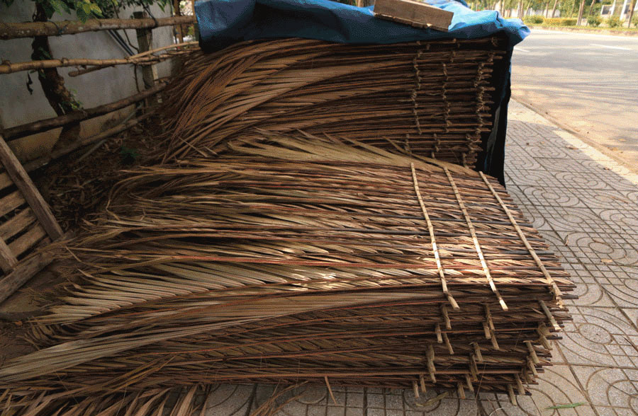 du-lich-quang-ngai11.jpg
